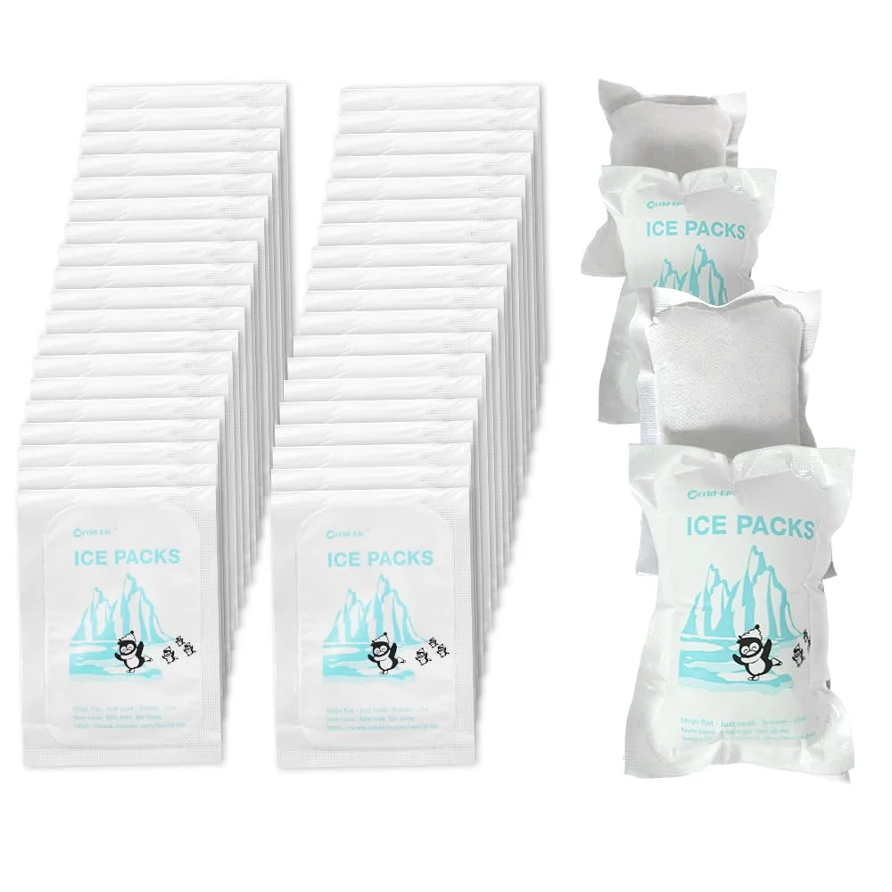 World-bio dry ice packs sheet for shipping frozen food self absorb water ice pack sheet for coolers