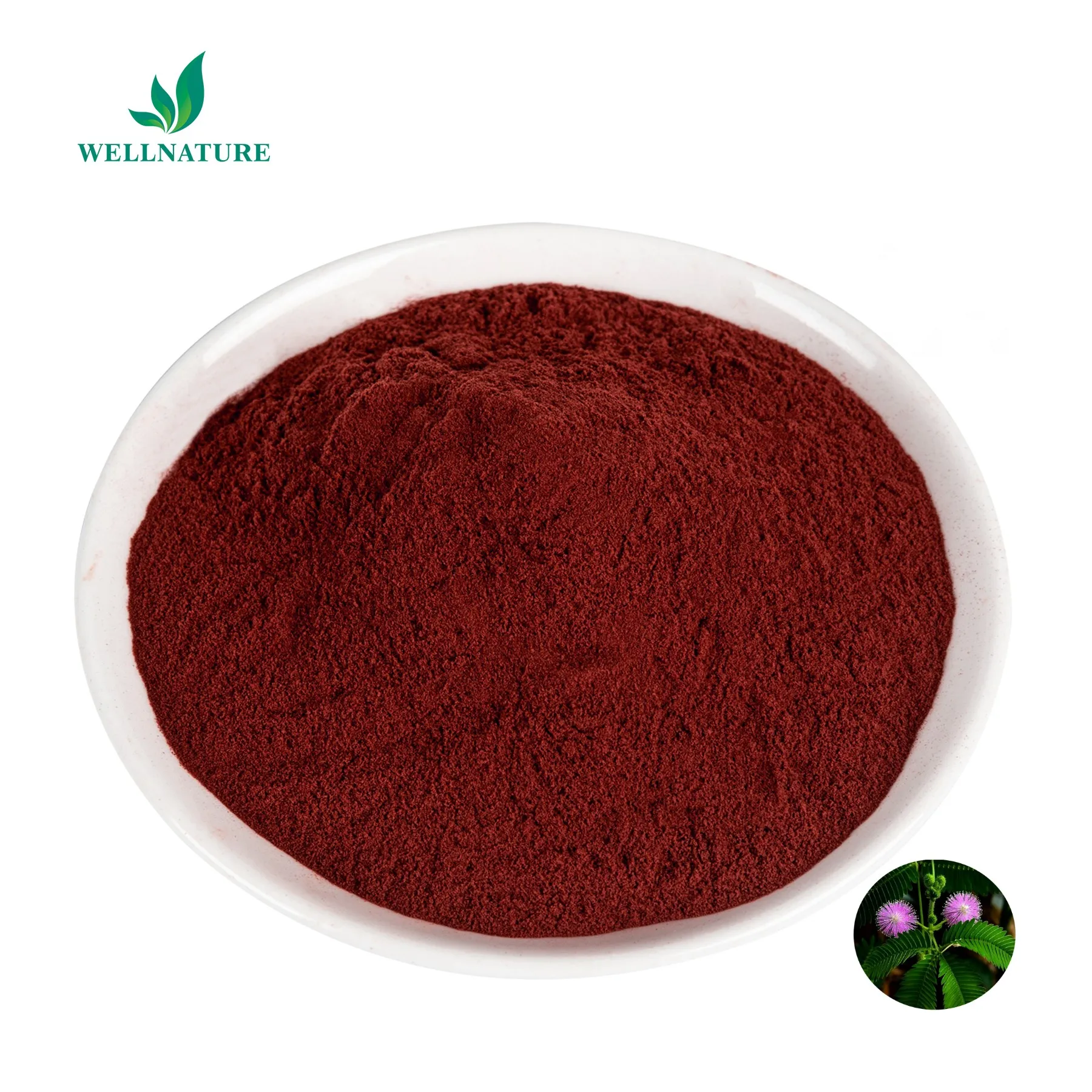Mimosa Root Bark Extract Powder 10:1 Mimosa Bark Extract Mimosa Extract