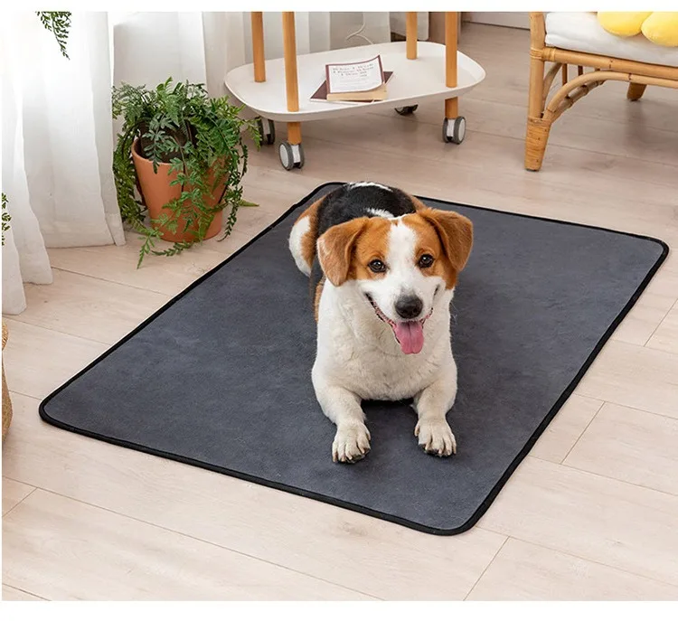 Pet Products Training Behavior Supplies Cleaning Pee Urine Pads Toilet Instruction For Cats Puppy Dog