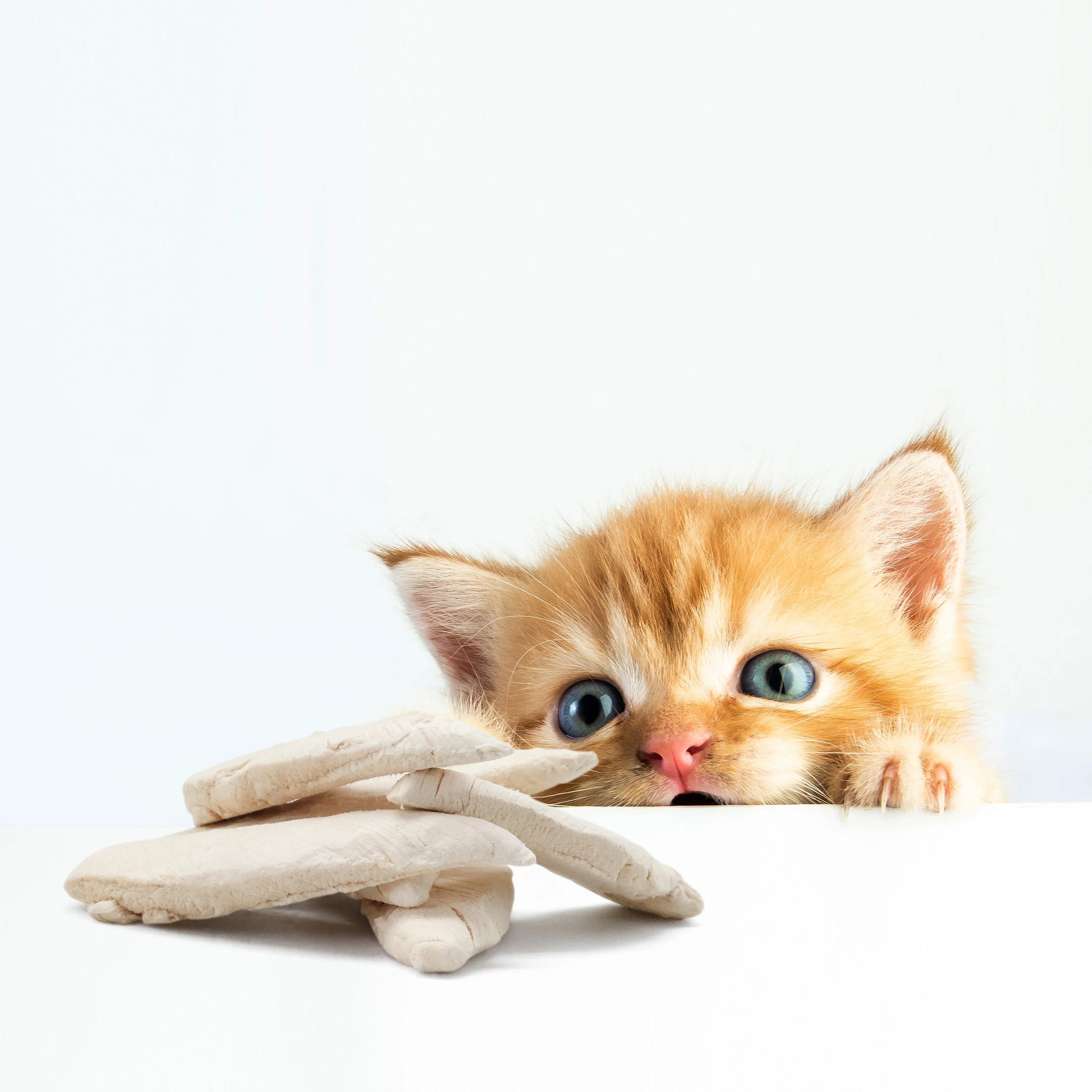 Сублимированный корм для домашних животных куриная грудка сухие лакомства собак и кошек сублимированные куриные