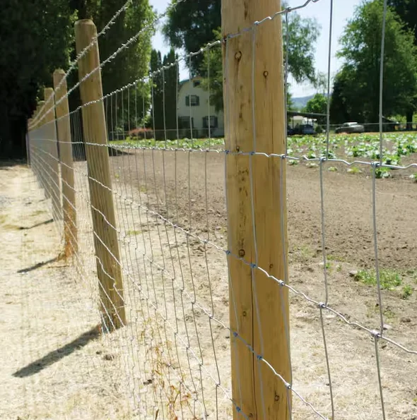 Hot dipped galvanized horse sheep farm grassland fixed knot fence grassland field fencing on farm