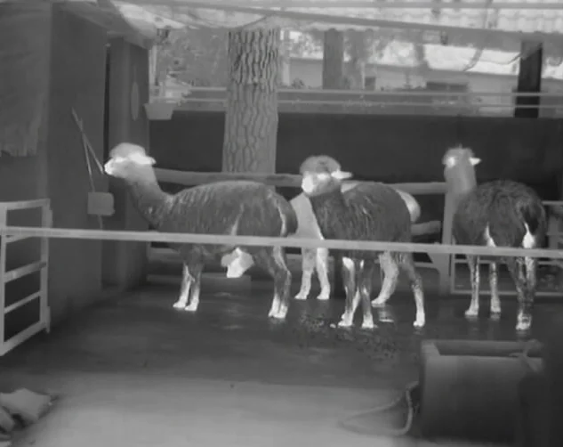 Cooled thermal camera cooled thermal border camera cooled thermal camera long range 2024