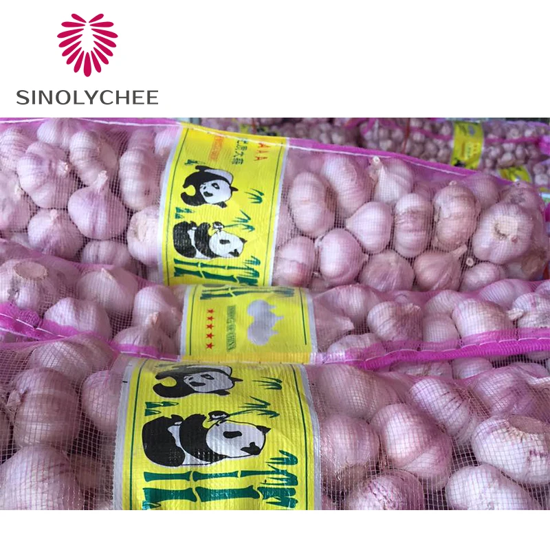 2022 New Crop Wholesale Fresh Garlic Normal White Garlic