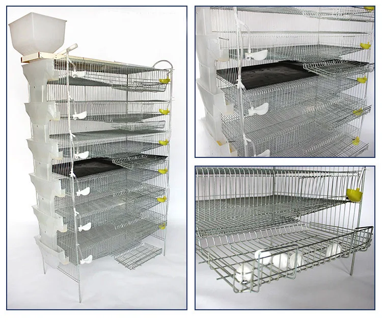 2021new design factory wholesale poultry battery cage layer quail cage for sale