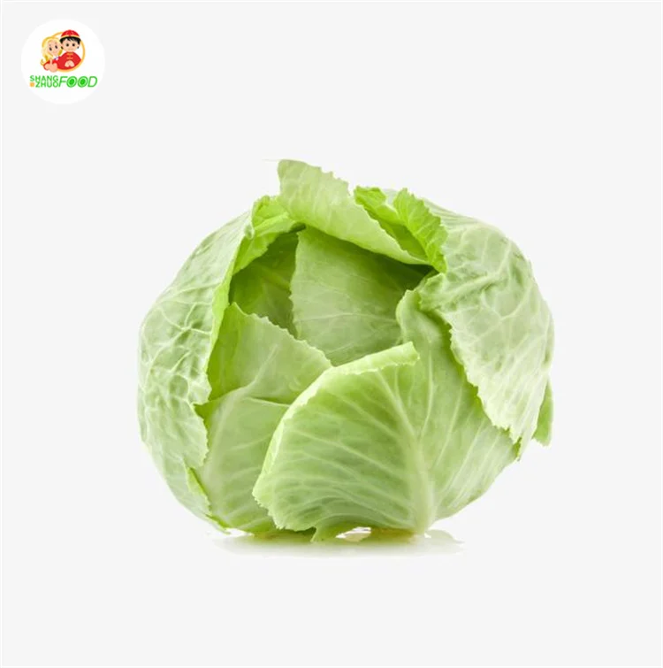 
Natural high quality Fresh green cabbage cabbage fresh export standard  (1600238289618)