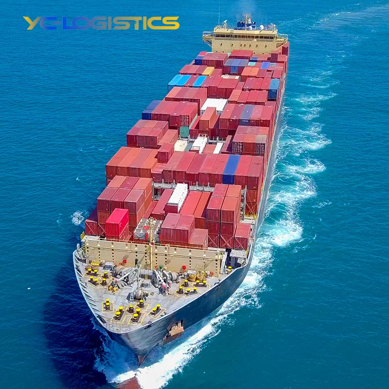 sea freight forwarding express shipping service shipping forwarder to USA/Germany/UK