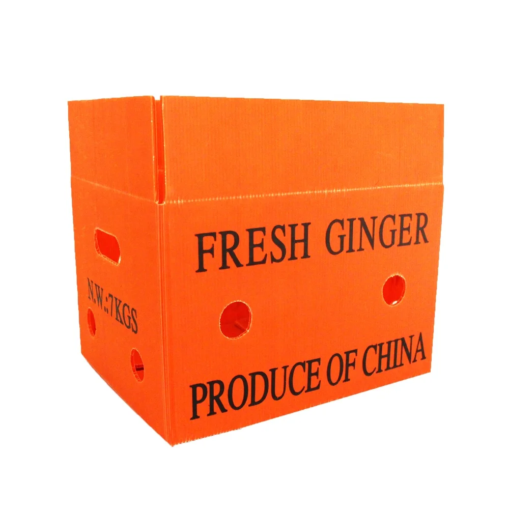 pp corflute boxes corrugated plastic vegetable storage boxes