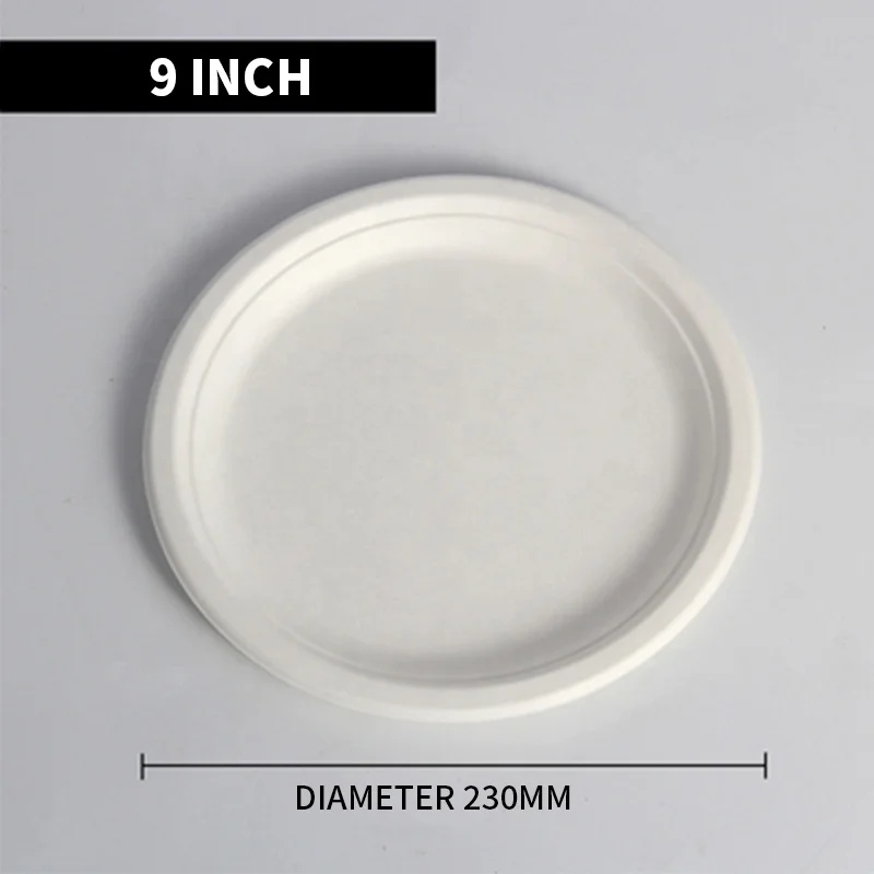 Disposable Eco-friendly 100% biodegradable Raw Material for Buffet New Year Party Sturdy Paper Plate