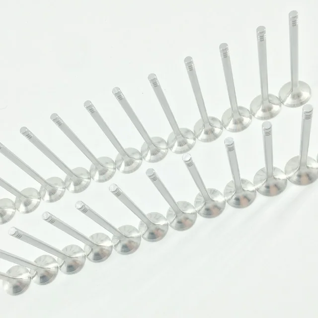 11342247077 LGH101450 Engine Intake Exhaust Valve for BMW E87 E46 E39 E60 E61 E53 M47 M57 N57N 306D2 306D3 306D5 MG Rover 204D2