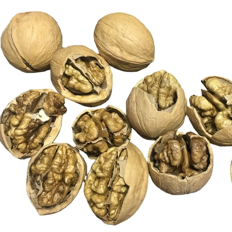 Wholesale Xinjiang Dried Raw 33 Walnut Nuts & Kernels Walnuts