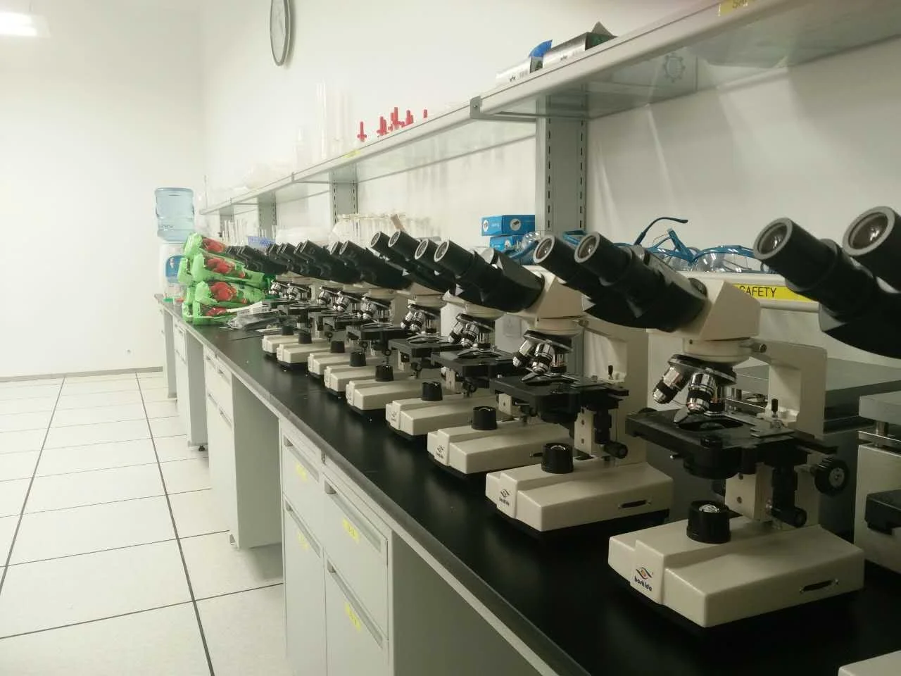 BD-SW107 binocular compound optical Biological Microscope