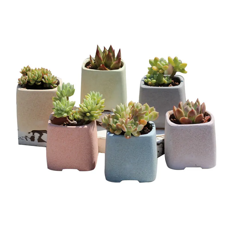 Wholesale succulent flower pot combination set large flower pot