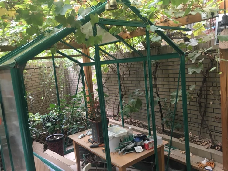 New style retractable polycarbonate garden sun room four season green house