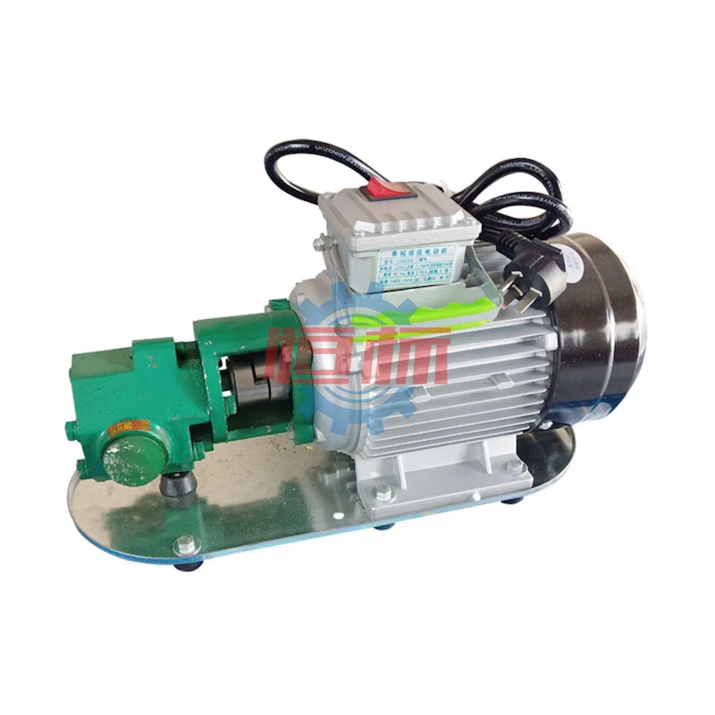 WCB Stainless steels Electric 110V 220V Food grade lube oil transfer oil gear pump for lubrication oil