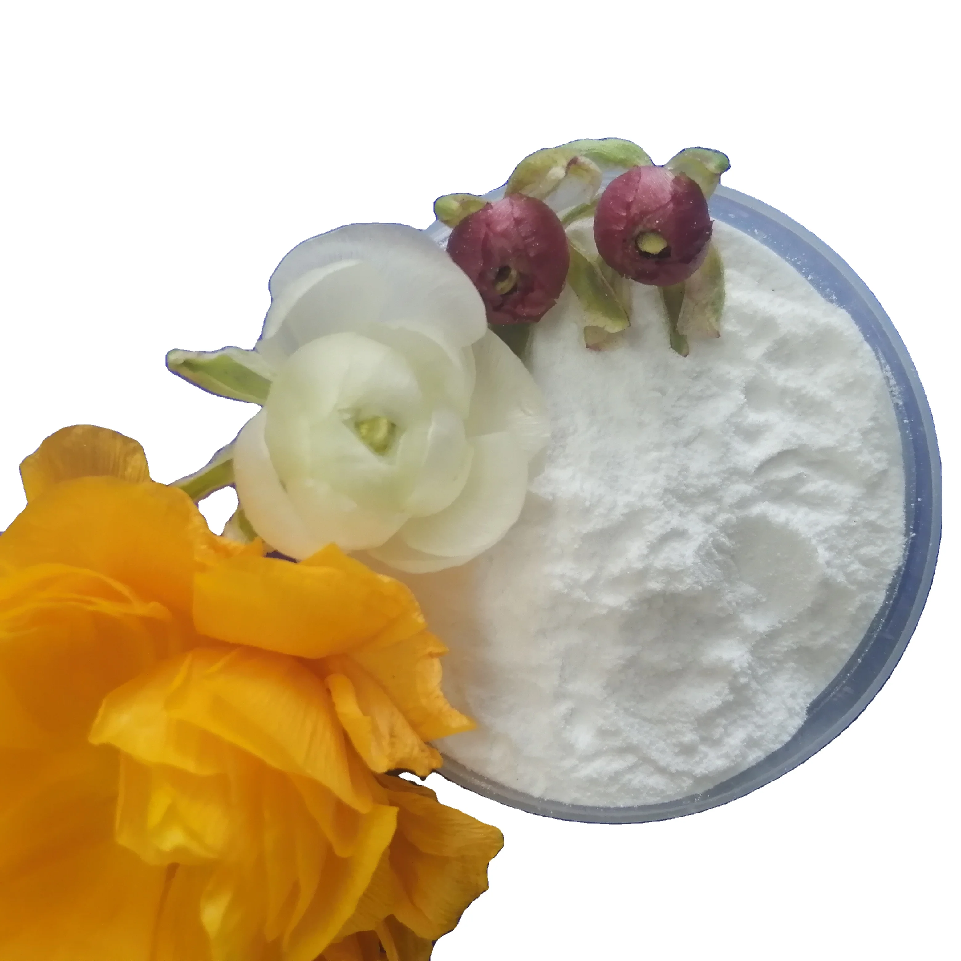 High Quality Food Grade High purity DKP KH2PO4 CAS 7758-11-4