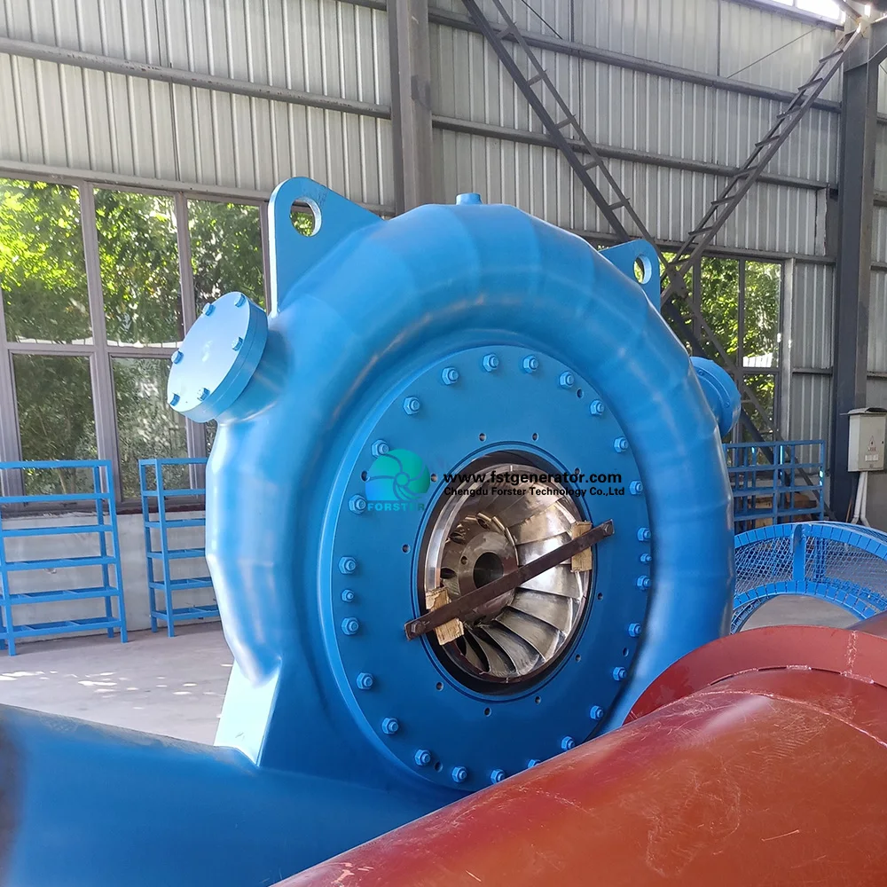 Hydroelectric Water Wheel Hydro Electric Power Generation Hydro Power Electric Generator Governor