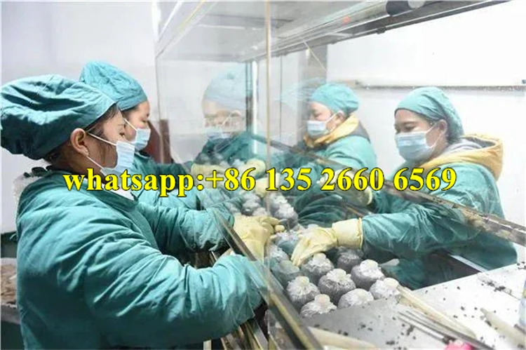 Hots sale laminar flow clean bench vertical laminar flow hood air flow clean bench for hospital lab