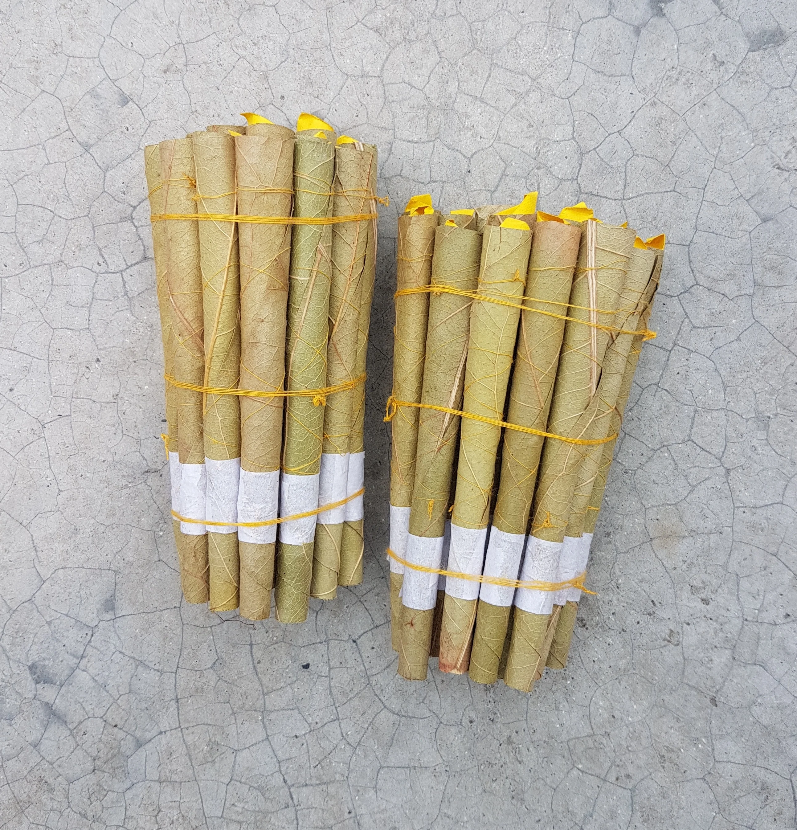 Bulk OEM Natural rolled leaf and Corn husk Filters Hemp Fibre filters in bulk OEM Corn husk filters Terpenes pre rolled leaf