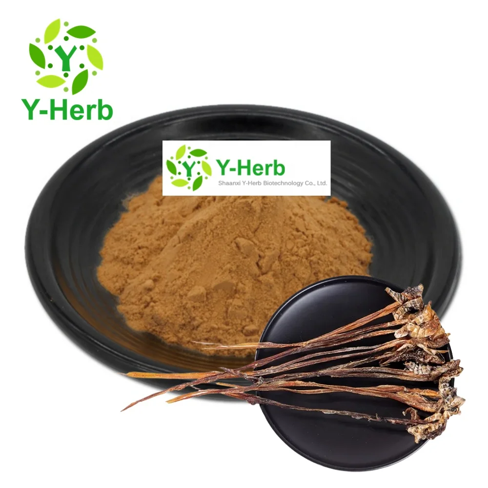 Pure Bulk Dried Snake Whip Powder 10:1 Testis et Penis Agkistrodon/Snake Whip Extract Powder