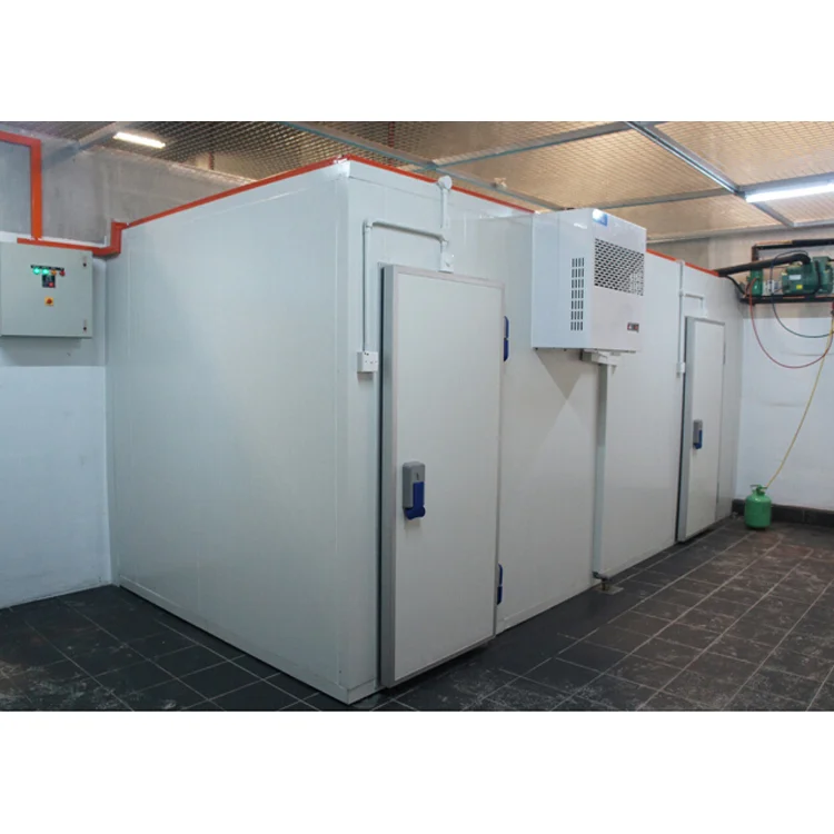 Ресторан коммерческих холодное хранение холодная комната прогулка в холодильник морозильная камера