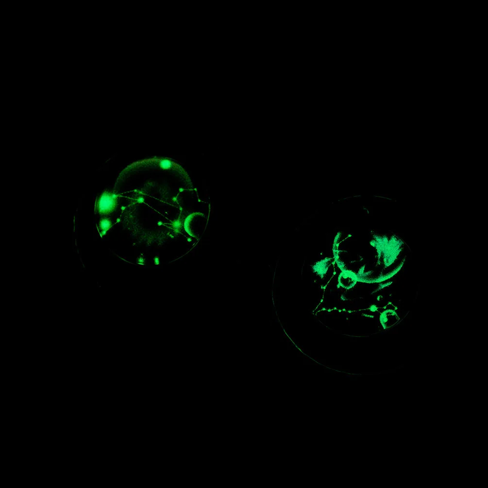 Luxury Hotsale Stainless Steel Womens Outer Space  Ball Moon Titanium Saturn Pendent Necklace