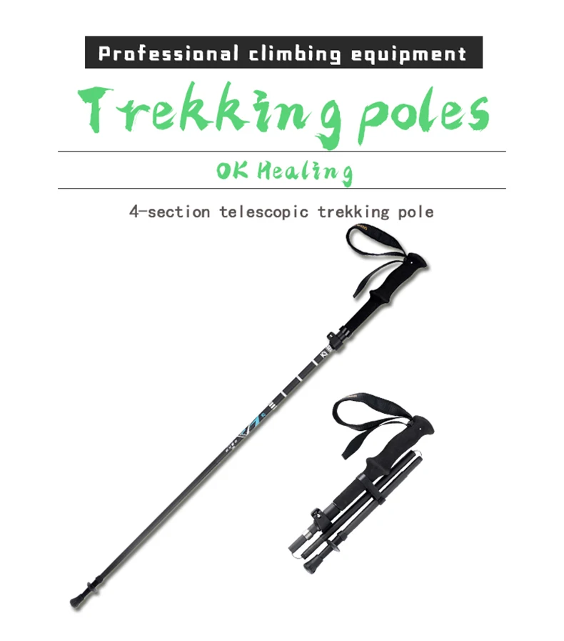 carbon walking stick1.jpg