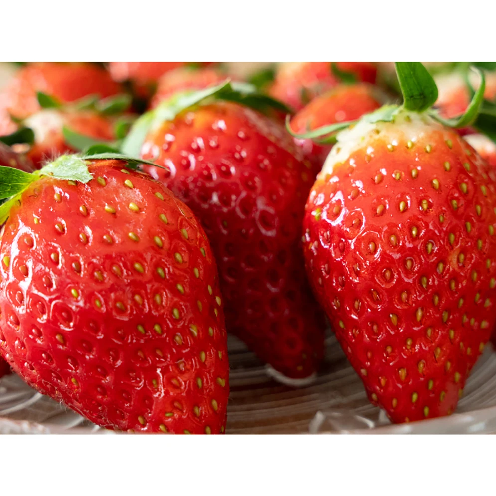 Cake toppings fresh berries fruity strawberry hydroponics products for sauces