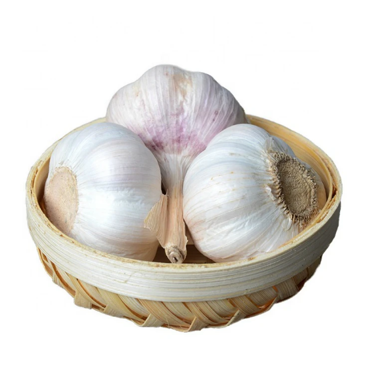 Wholesale Factory Price Garlic New Crop White Normal Shape Garlic Bulk Garlic Price