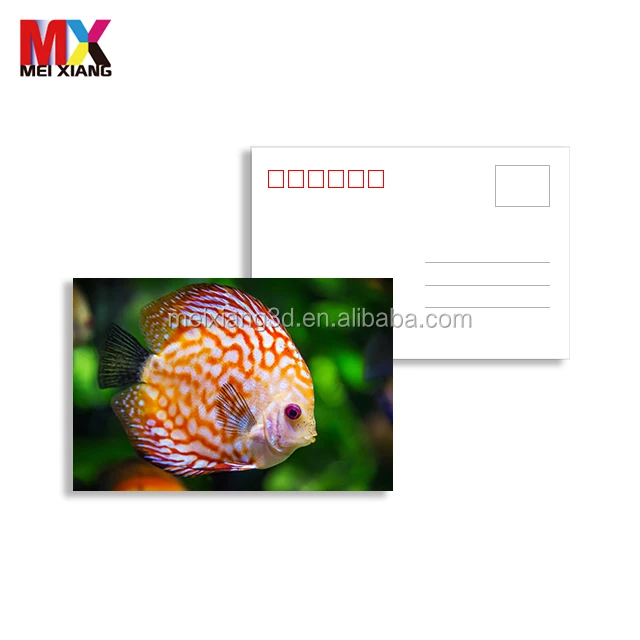souvenir customize lenticular 3d 5d postcard with lovely animal