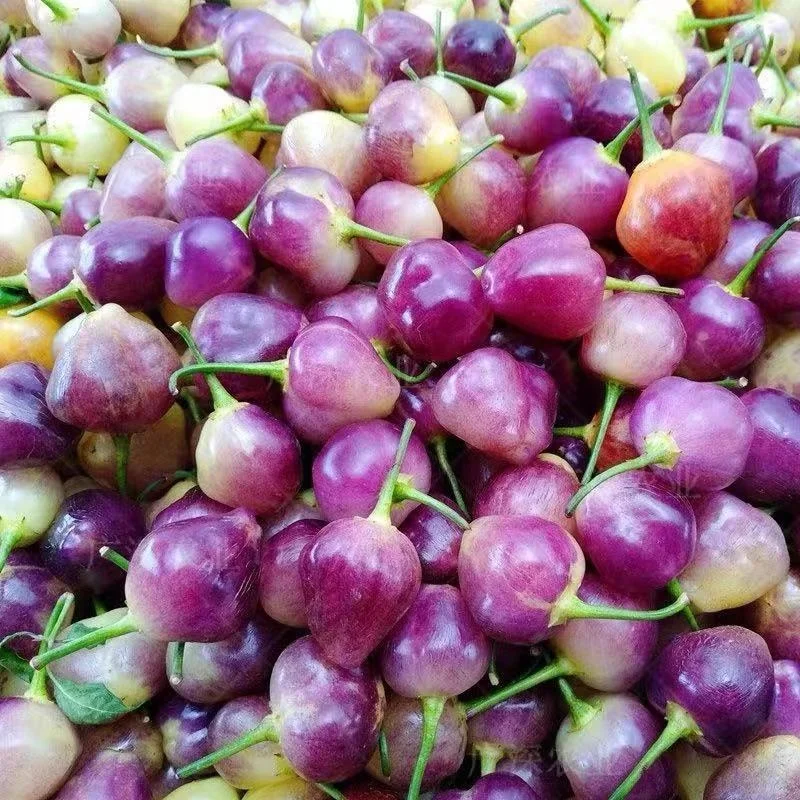 Wholesale 300g/bag Purple Rainbow chili Hot Pepper Vegetable Seeds for Planting