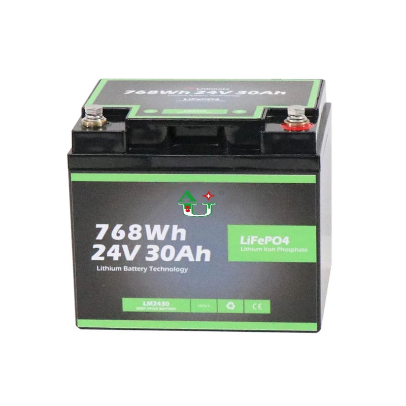(2021)  Brand New 12V 24V 20Ah 30Ah 40Ah Lithium Iron Phosphate LiFePo4 Battery Pack for UPS