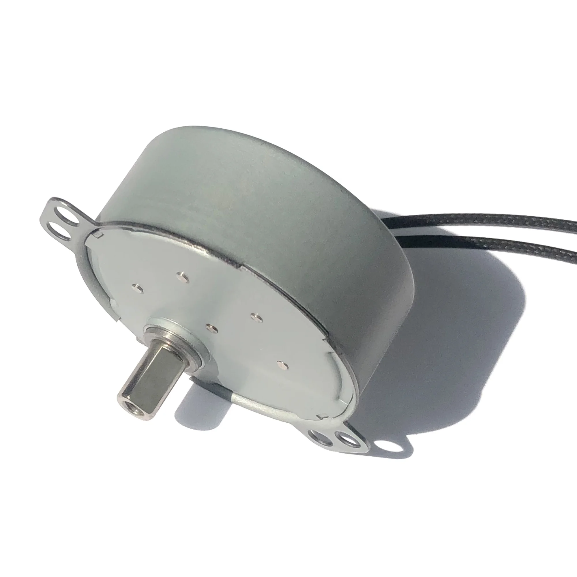 Sijiatech Pet feeder 4W Synchronous motor TY50 6V 12V 24V 50/60Hz 5/6rpm CW