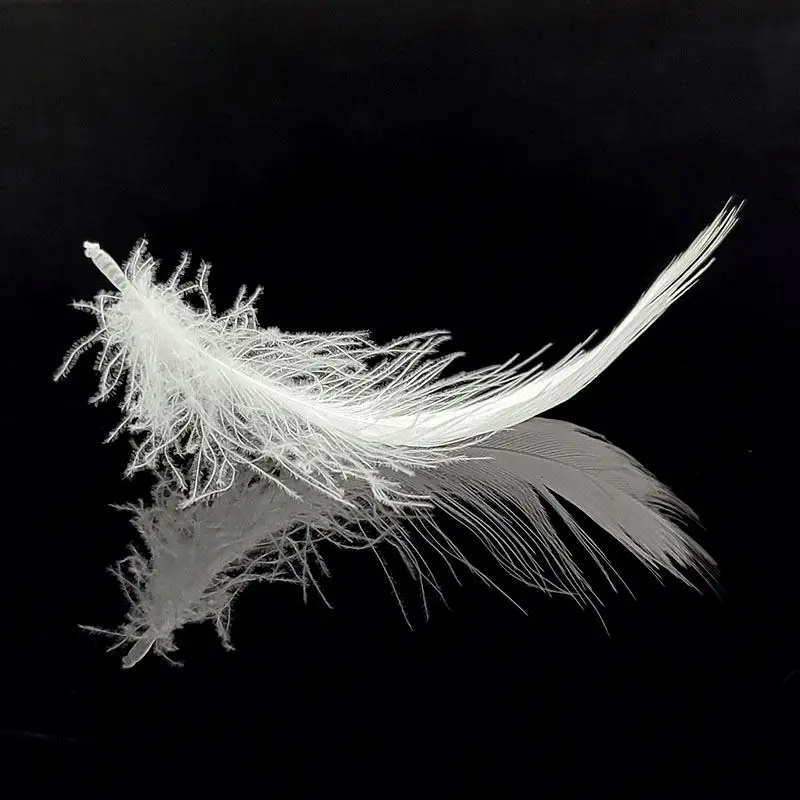 
Wholesale Cheap Price Hotel Cushion Stuffing High Quality White Goose Feather Down 
