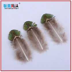 Factory Bulk Sale Cheap Natural 4-8cm Dyed Mint Green Gold Trimmed Short Small Size Peacock Feathers For DIY Clothing Decoration
