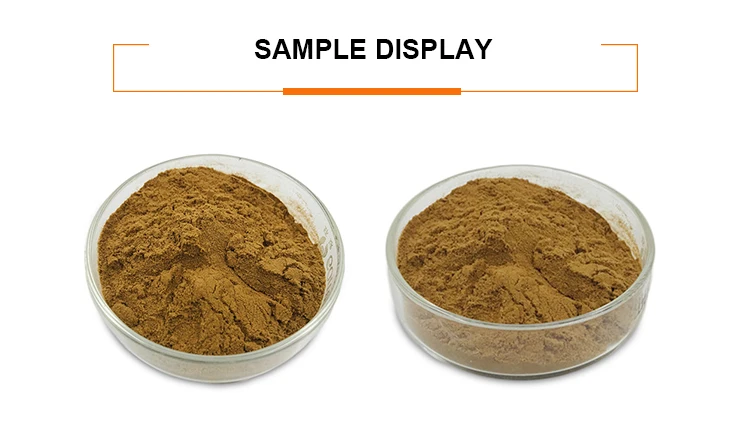 Fadogia Agrestis Stem Powder Fadogia Agrestis Extract