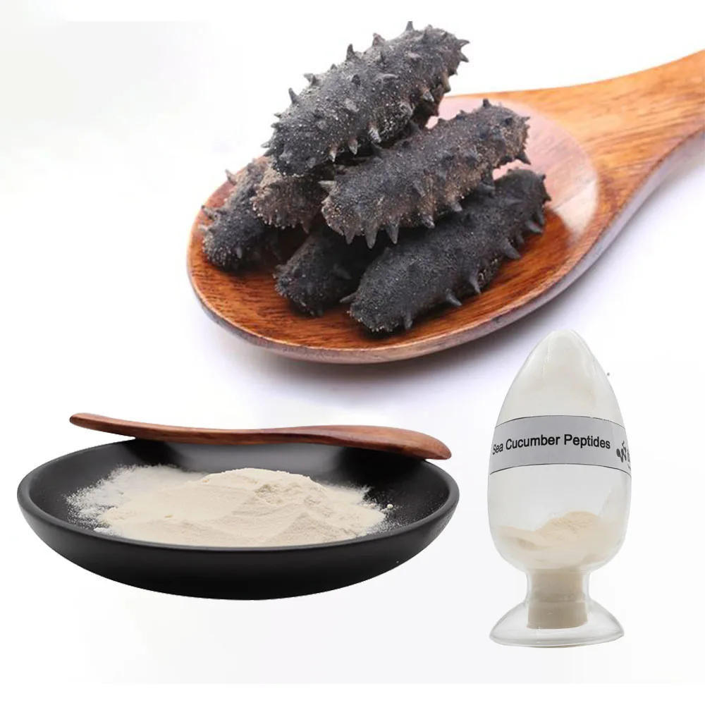 Оптовая продажа, сырье, морской огурец, коллаген, пептидный экстракт, порошок