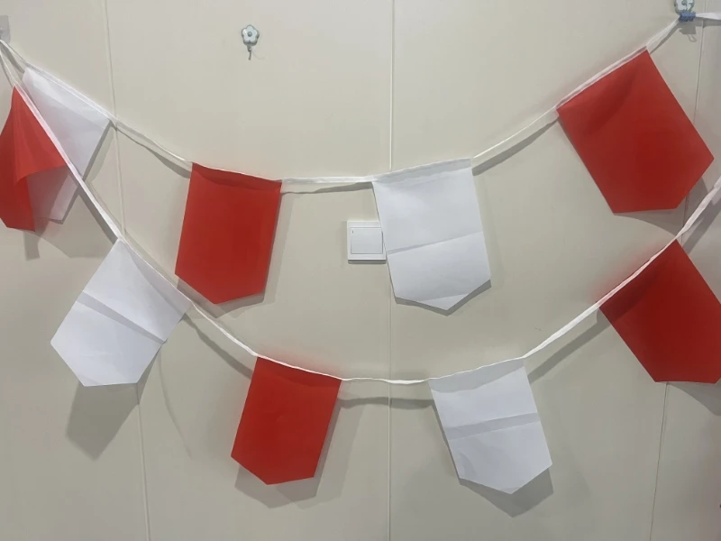 Aozhan Wholesale Customized 14x21cm 20x30cm Swallow-tail String Bunting Flags High Quality Printed Shapes in Various Countries