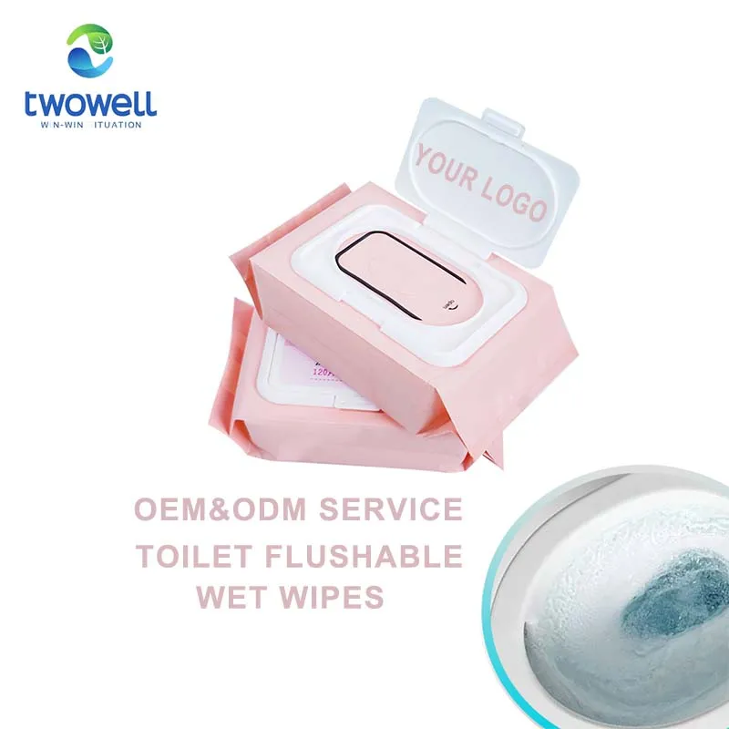 High Quality Bamboo Custom Color Black Bag Adult Wipes Flushable Wet Wipes For Women Adult