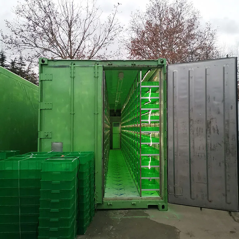 Solar Powered Hydroponic Growing System for Fodder