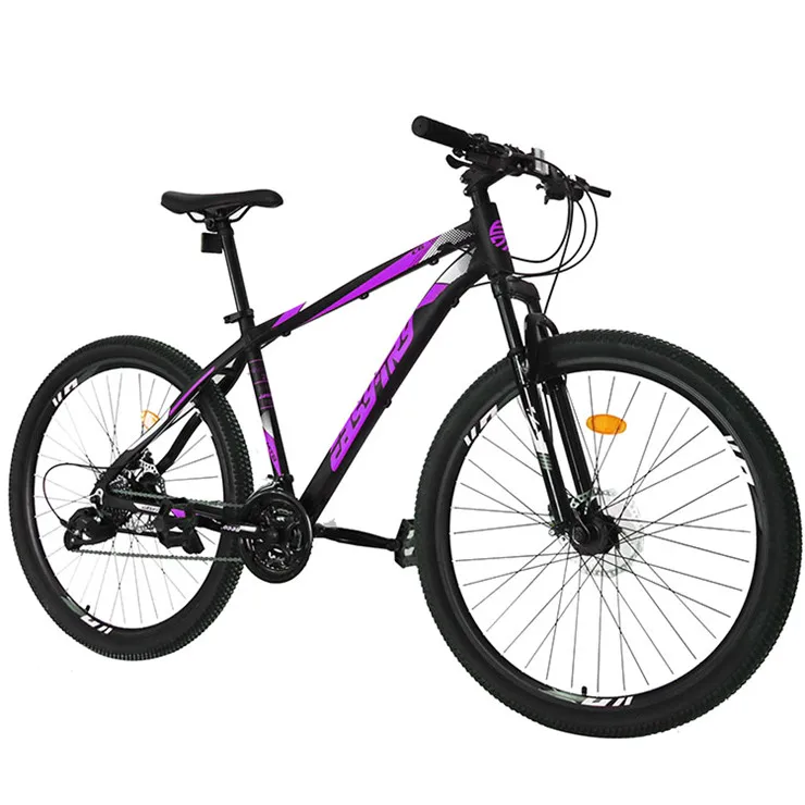 Cheapest 21 speed adult mountain bike High quality