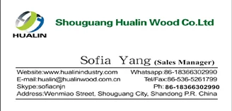 sofia name card2020_1