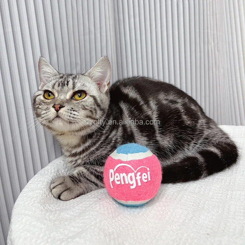 Wholesale Dog Tennis Ball Toy For Dogs Custom 2.5