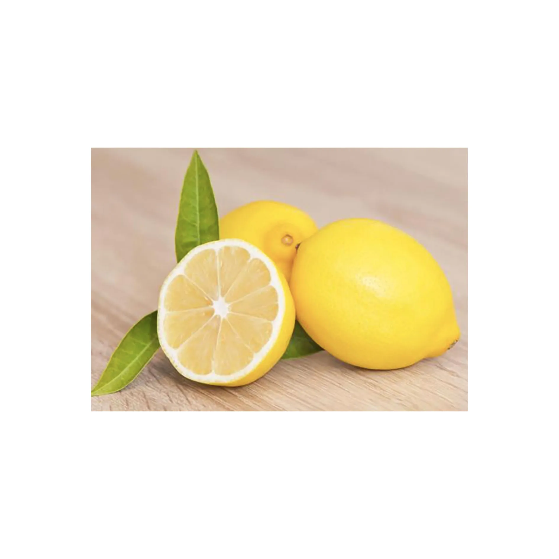 
Wholesale high quality affordable price fresh natural yellow lemons 