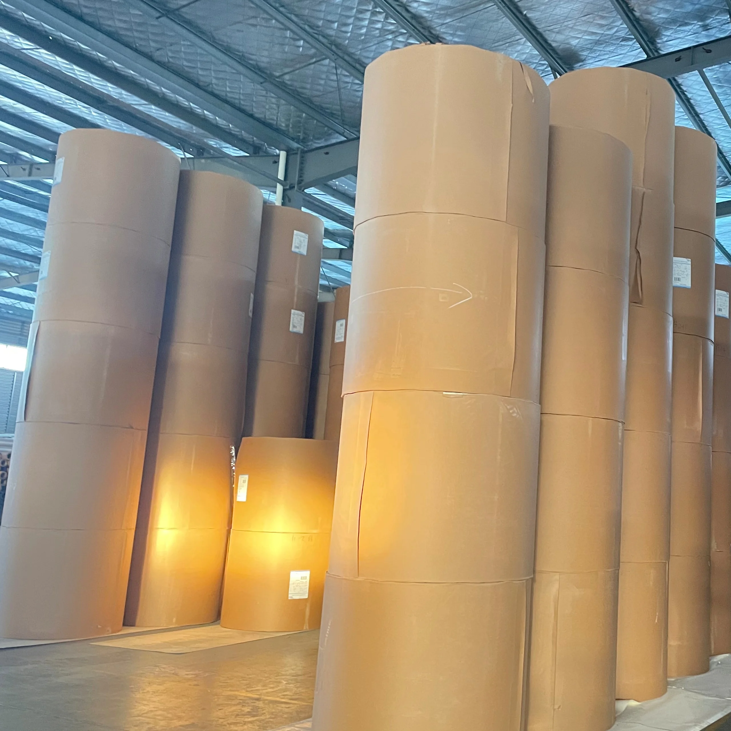 Raw materials for paper cups single PE coated paper cup rolls