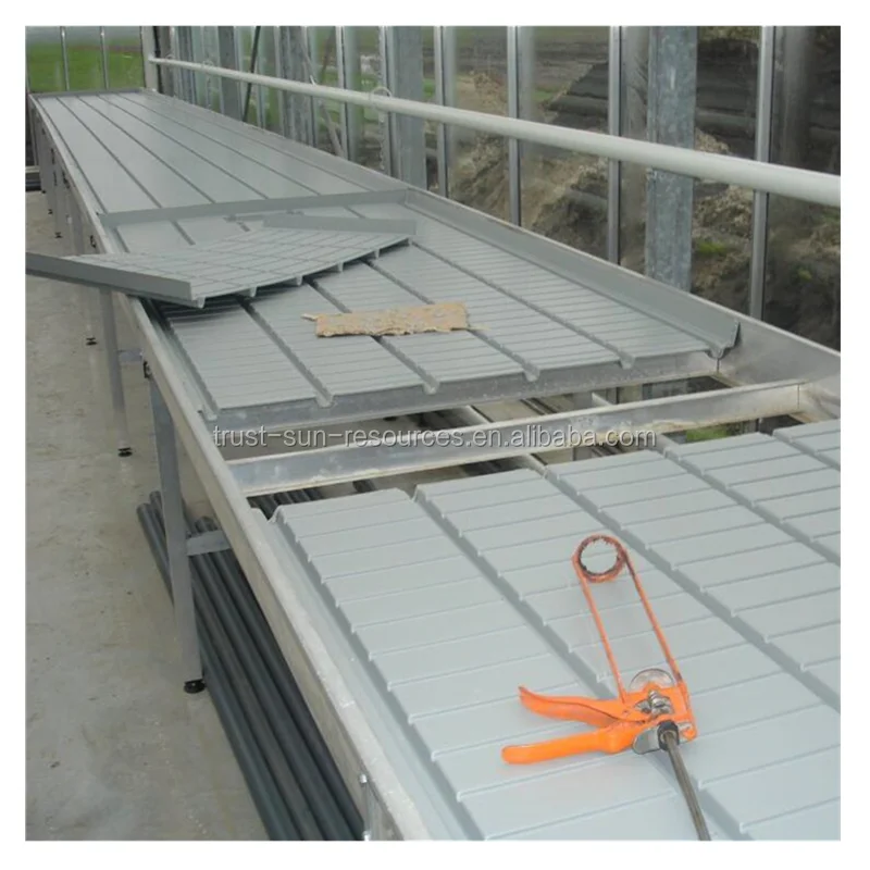 
Hot Sale Greenhouse Movable/ Ebb and Flood Rolling Benches/Seeds 