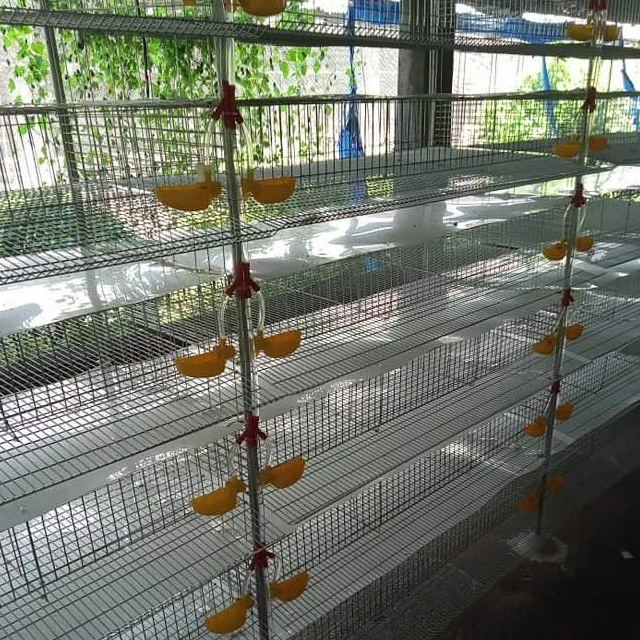 New Large Chicken Cages and Quail Cages for Sale Cages for Broiler Chicken