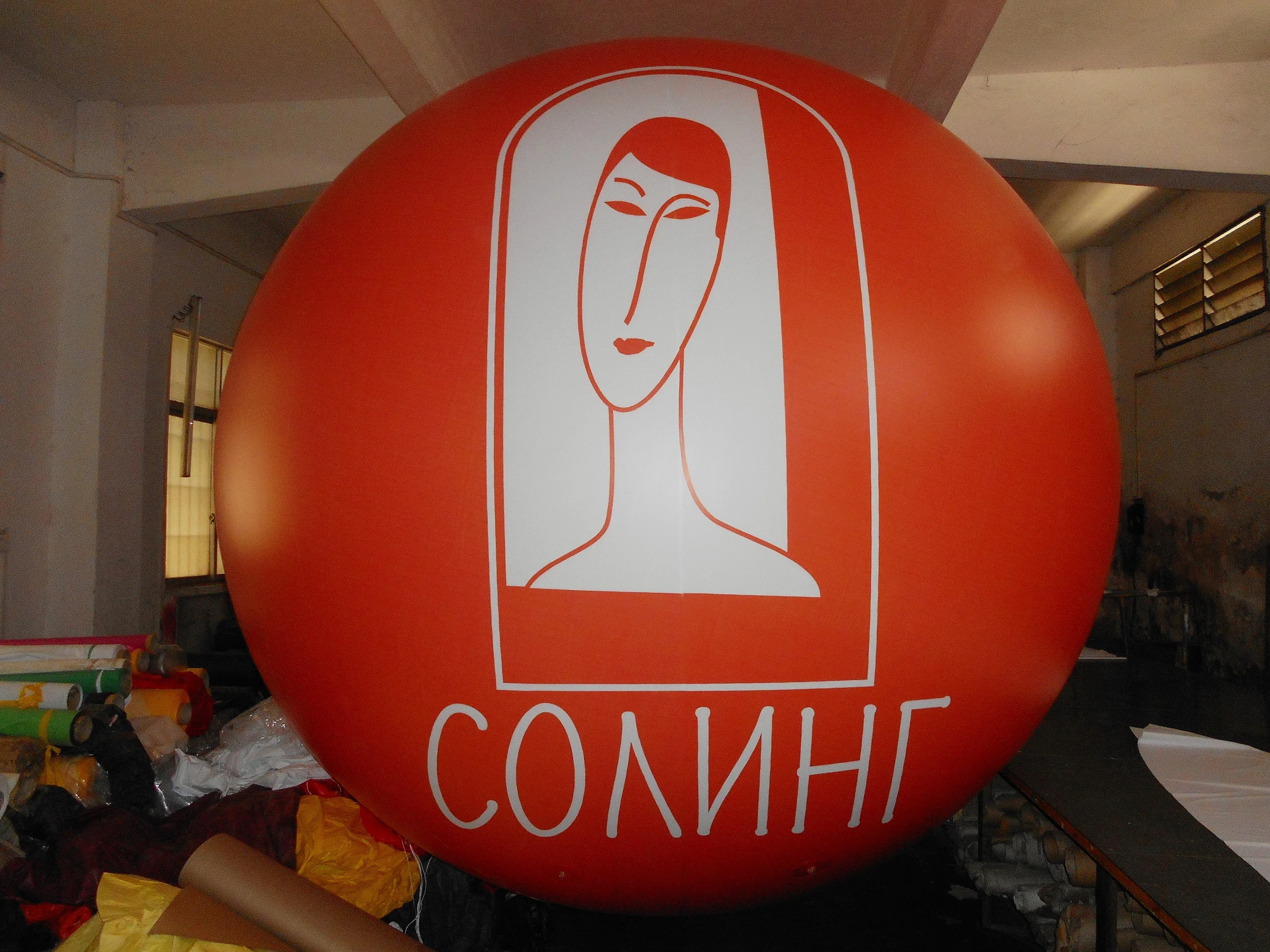 DSCN7349 - .jpg