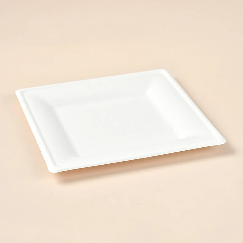Free Samples disposable sugarcane tableware 9inch compostable bio degradable bagasse paper plate