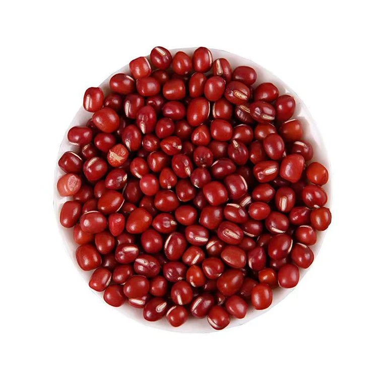 Hot Sale China Manufacture Quality Big Size Red Kidney Bean Red Beans