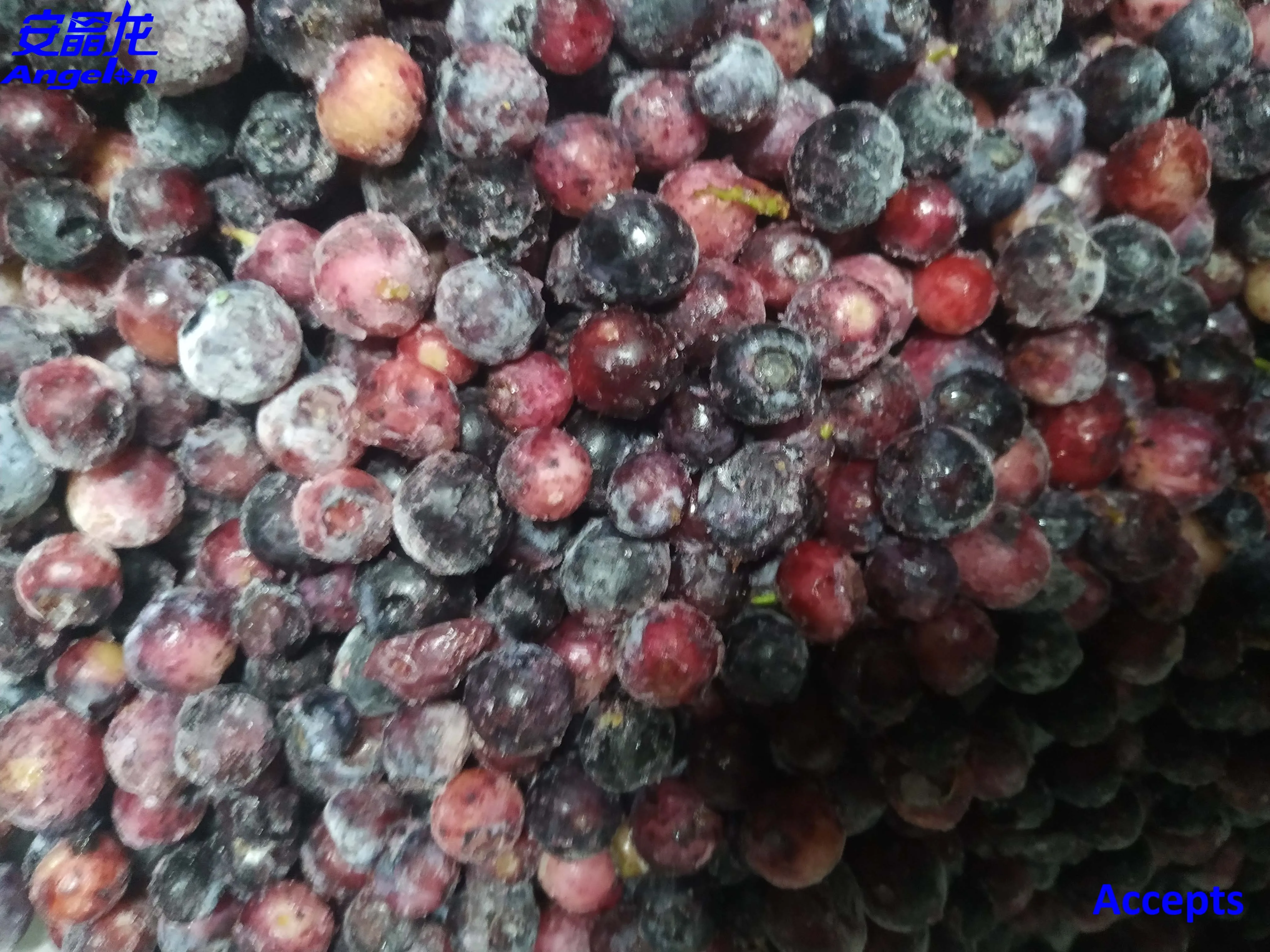 Dehydrated dried vegetables CCD new belt type color sorter